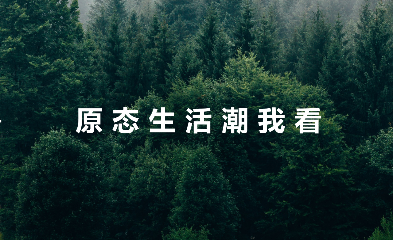 尊龙凯时人生就是赢(中国)官方网站