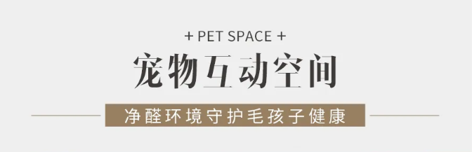 尊龙凯时人生就是赢(中国)官方网站